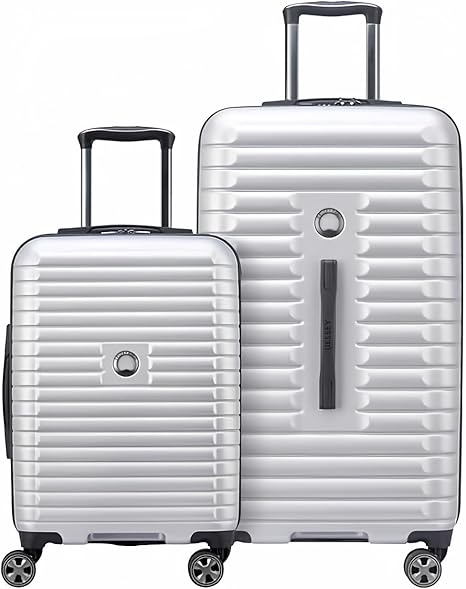Photo 1 of Delsey 2-piece Hardside Trunk Set (Silver)
