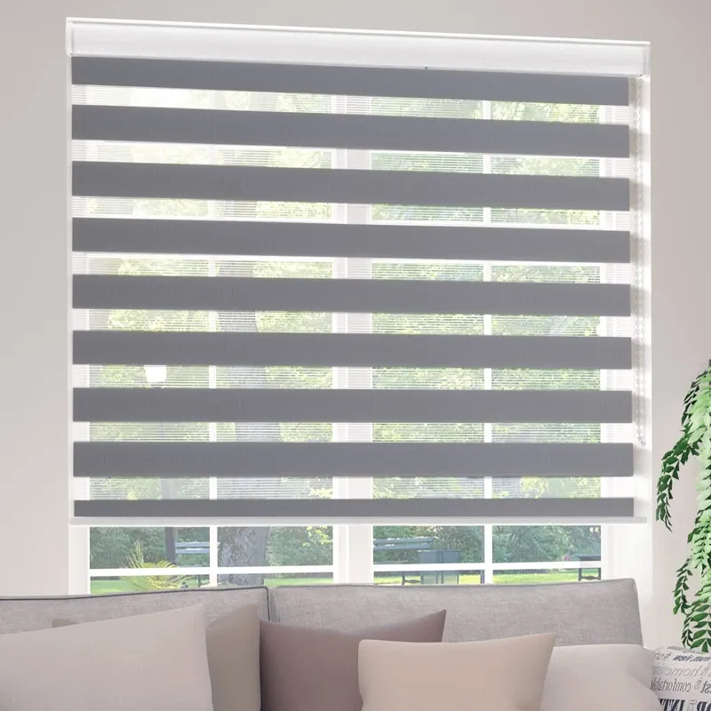 Photo 1 of Bliwans Zebra Roller Shades, Zebra Blinds for Windows, Dual Layer, Sheer Privacy or Light Filtering for Day and Night, Roll Up and Down, Window Blinds for Home, Living Room, 22" W X 64" H, Grey