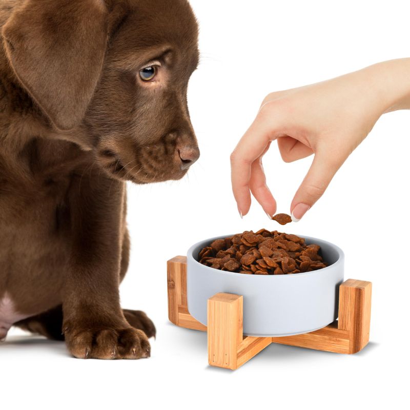 Photo 1 of Black Rhino Elevated Ceramic Pet Bowl - Modern Pink Dog & Cat Feeding Bowls with Bamboo Stand - Weighted & Durable - Perfect Size for Cats and Small to Medium Dogs - Gray