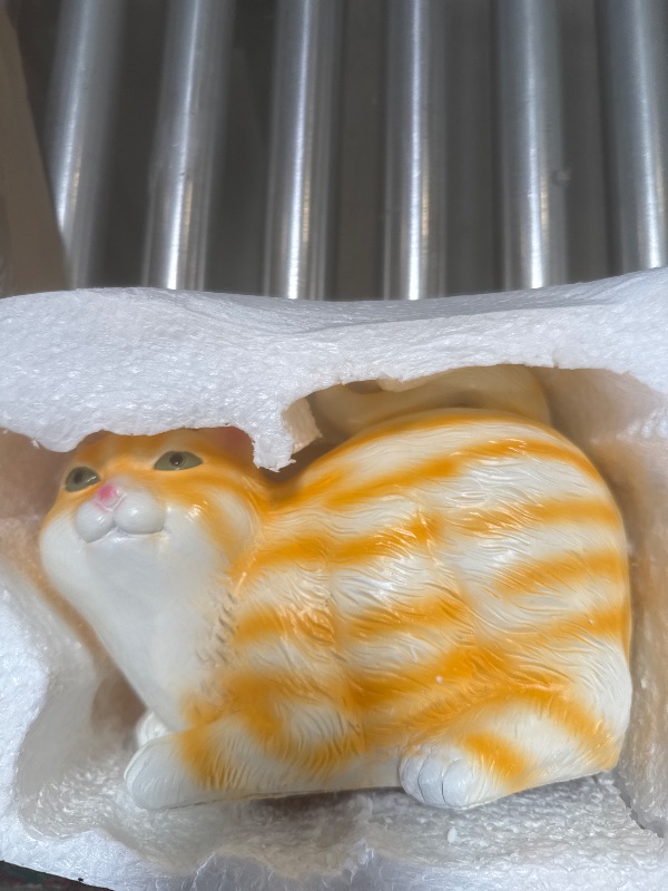 Photo 1 of Cat Tissue Holder