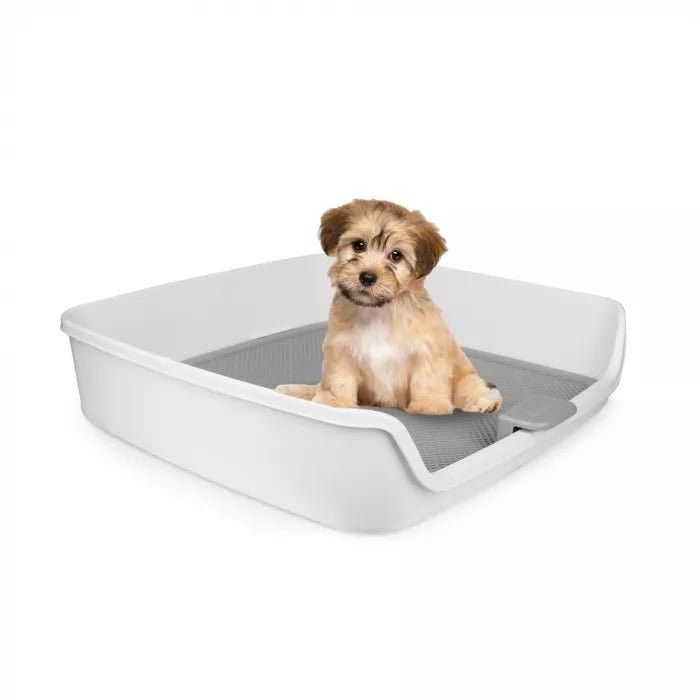 Photo 1 of ALL for PAWS XLarge Detachable Double Layer Dog Toilet with Columns
