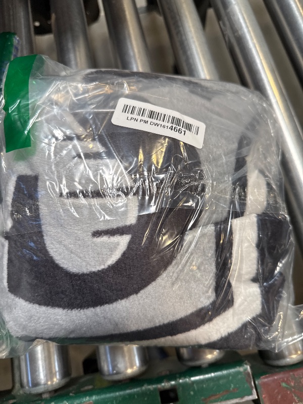 Photo 1 of Northwest NHL Los Angeles Kings Unisex-Adult Micro Raschel Throw Blanket, 46" x 60", Break Away