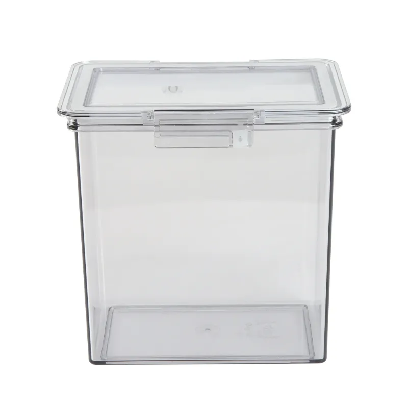 Photo 1 of The Home Edit Medium Canister Food Storage Container, Clear 6"x4"x6"