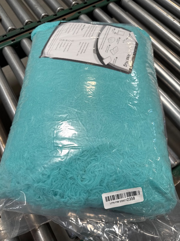 Photo 1 of Merelax Modern Soft Fluffy Small Shaggy Rug for Bedroom Livingroom Dorm Kids Room Indoor Home Decorative, Non-Slip Plush Furry Fur Area Rugs Comfy Nursery Accent Floor Carpet 2x3 Feet, Teal