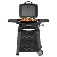 Photo 1 of MASTER COOK Propane Gas Grill, Portable Tabletop Barbecue Grill with Cart for Patio, Camping, Travel