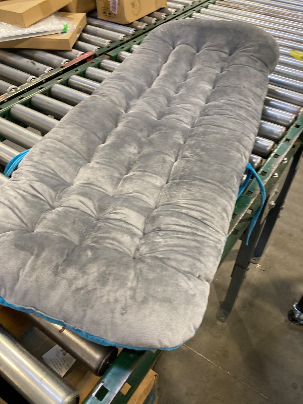 Photo 1 of chair cushion 
