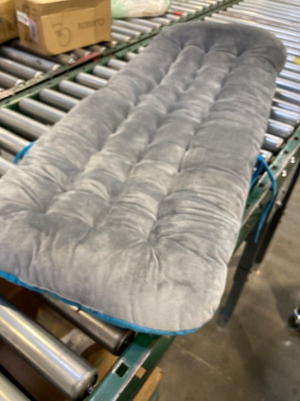 Photo 1 of chair cushion
