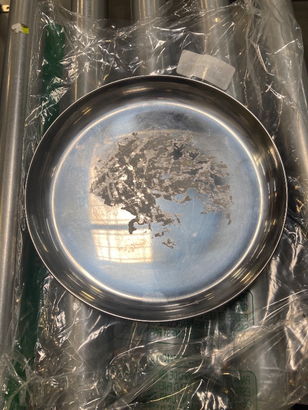 Photo 1 of Stansport Stainless Steel Plate 9.25" (263)