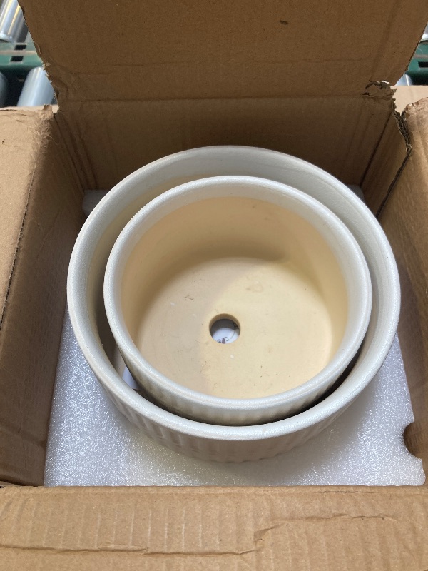 Photo 1 of LE TAUCI Succulent Pots, 6.5+8 Inch Ceramic Indoor Plant Pot with Drainage Hole, Shallow Round Succulent Planters, Set of 2, Matte White