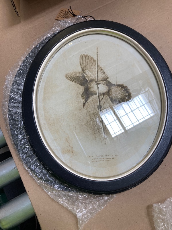 Photo 1 of 13-3/4" H wood framed wall decor w reproduction bird 4 styles

