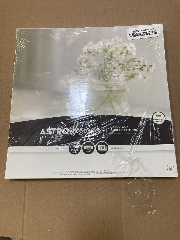 Photo 1 of Astrodesigns Crafting Cardstock, 12" x 12", 65 lb/176 gsm, Bright White, 70 Sheets (91522)