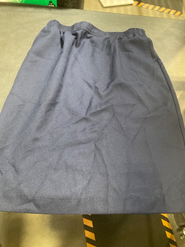 Photo 1 of Alfred Dunner Classics Womens Pencil Skirt 12P