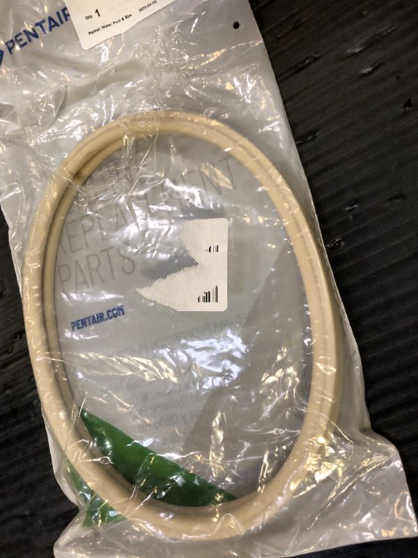 Photo 1 of Pentair Gasket for Lens OEM Intellibrite White 79101600Z