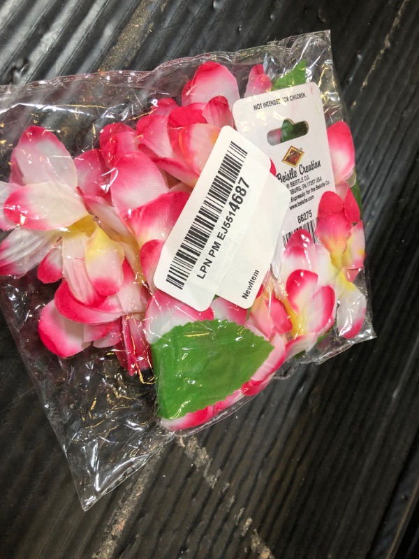 Photo 1 of Big Island Floral Lei