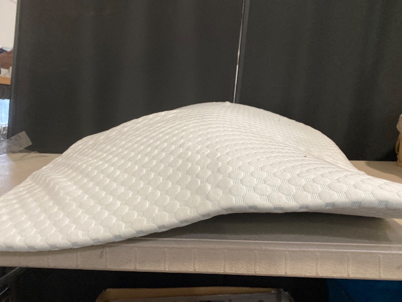 Photo 1 of Wedge Pillow, Bed Wedge Pillows for Sleeping, Snoring, Back Support, After Surgery, Foam Triangle Pillow, Removable Washable Cover (White, 5in)