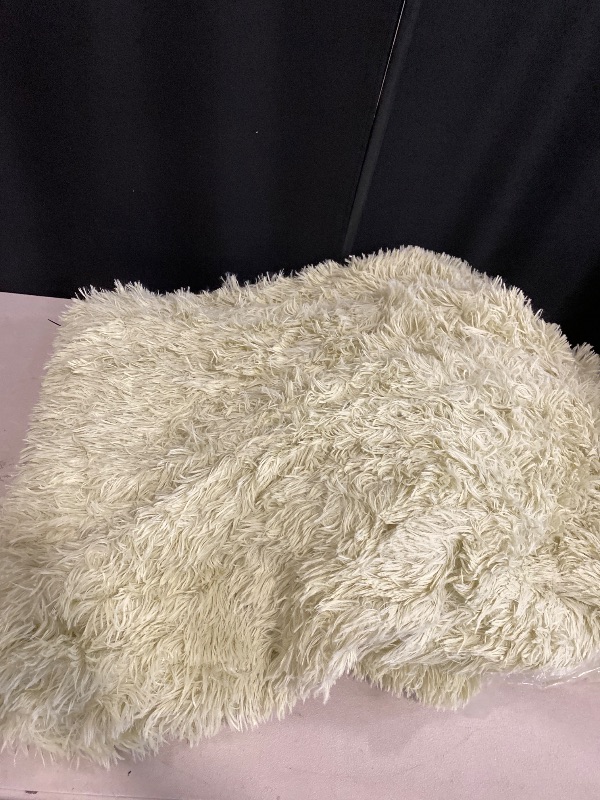 Photo 1 of Sleepwish Girls Mint Green Blanket - Decorative Sofa, Couch and Floor Throw - Warm, Cozy, Super Soft Bed or Car Cover - Long Shaggy Hair, Faux Fur, Microfiber Polyester Material