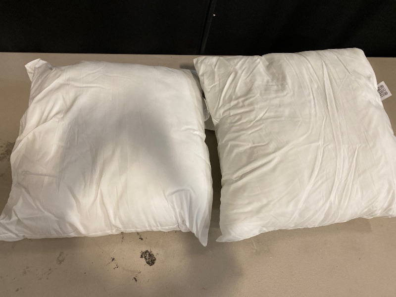 Photo 1 of Codi Outdoor Pillow Inserts 16x16 Set of 2, Comfy Throw Pillows Waterproof for Patio Furniture
