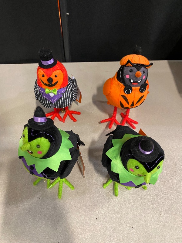 Photo 1 of 4 Halloween Bird Indoor Decor 