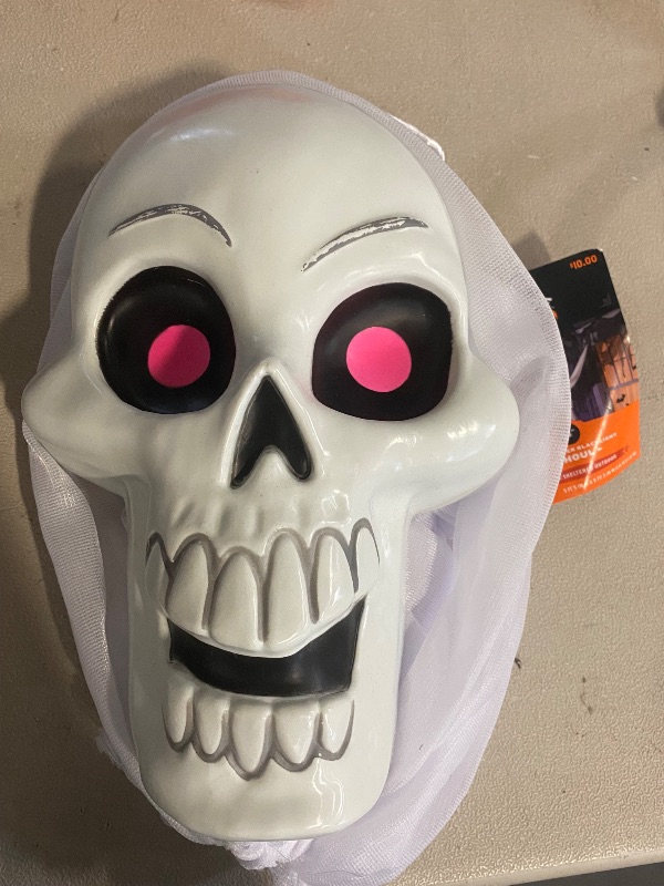 Photo 1 of 65" Outdoor Skeleton Hanging Decor 