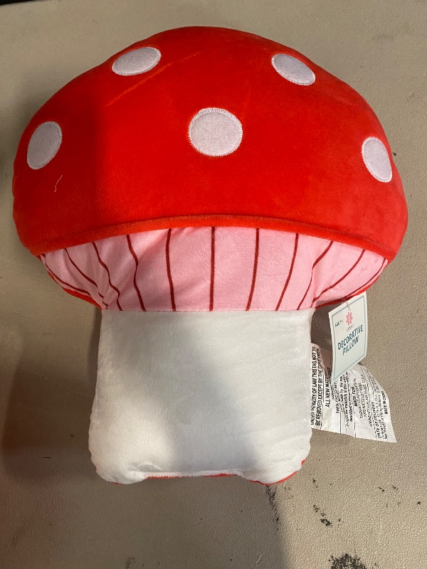 Photo 1 of 2 Plush Pillows 