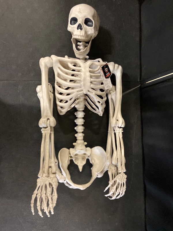 Photo 1 of  Life Size - Posable Skeleton Life Size Skeleton Halloween Decor L Large Skeleton-  Skeleton Poseable L Decoration Skeletons for Halloween Full Size Hallow
