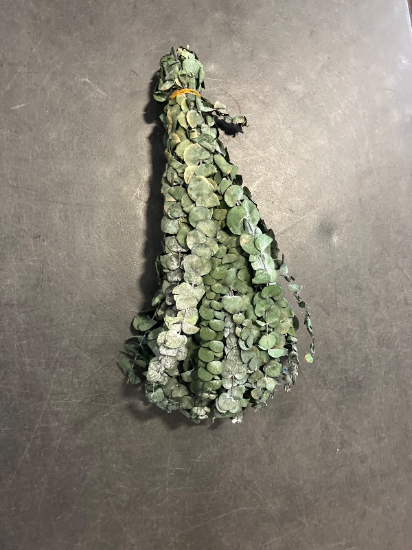 Photo 1 of 10 Pcs Dried Preserved Eucalyptus for Shower ,17" Real Natural Fresh Hanging Eucalyptus Stems,Real Leaves Branches for Vase Filler,Bathroom,Wedding,Dried Flowers Arrangement Decor