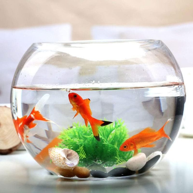 Photo 1 of Yardwe Glass Bubble Bowl Fish Bowl Vase Glass Round Terrarium Globe Flower Vase Centerpiece 15cm Clear Bubble Planter Terrarium for Flower Arrangements Weddings Events Decorating
