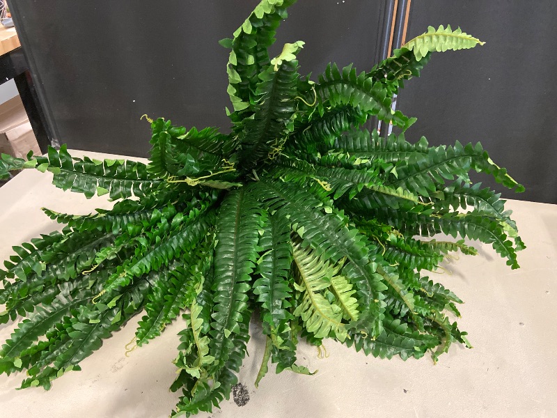 Photo 1 of Single Silky Artificial Boston Fern Bush, 49Inch Large Artificial Ferns for Outdoors, Large Faux Ferns Artificial Plants,Suitable for Decorating Office, Living Room Faux Greenery,95Branches