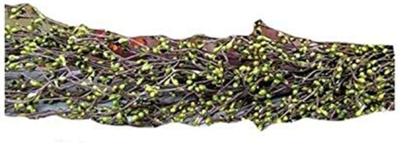 Photo 1 of CWI Sage Garland - 4ft - Artificial Garland for Mantle, Arch, Table, and Entryway