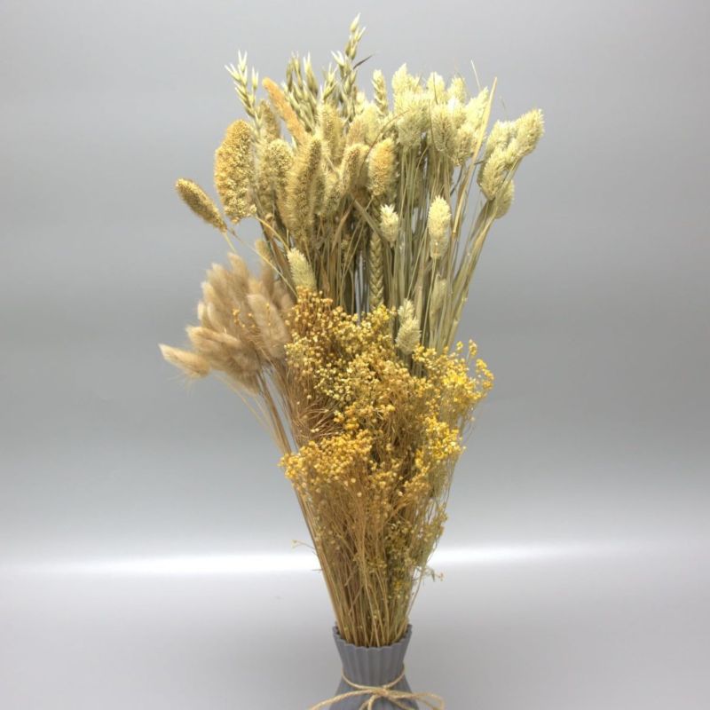 Photo 1 of Dried Flower Bouquet & Floral Mix Premium Hand-Packed Natural Dried Plants for Home Decor, Bouquets, and Arrangements – Made in Italy (Natural)