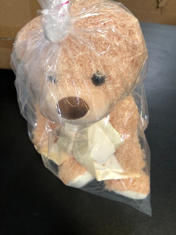 Photo 1 of HyDren Stuffed Bear Plush Interactive Hide and Seek Stuffed Toy Repeat What You Say Sing Music Educational Animated Stuffed Animal for Kids Children Easter Birthdays Festivals Gifts