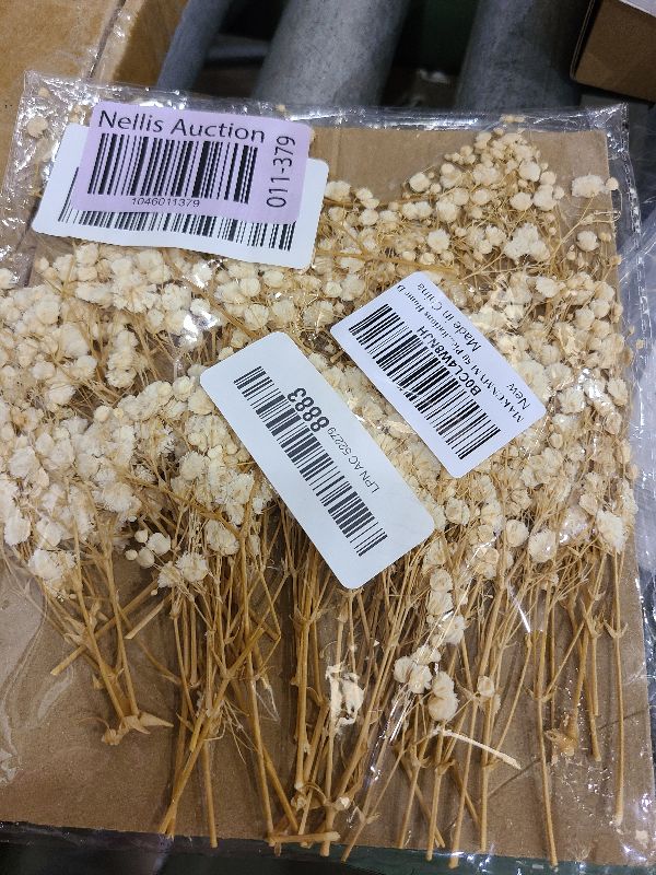 Photo 1 of 50 Pieces Dried Babys Breath Flower Mini Dry Flowers Bouquet 3D Stereo Primary Colours Baby Breath Artificial Flower White Wedding Plants for DIY Resin Crafts Napkins Invitations Home Decor