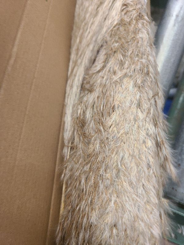 Photo 1 of 110 PCS of Boho Pampas Grass Decor, Naturally Dried Pompas, Bunny Tails Dried Flowers, and dried eucalyptus. Perfect for Weddings, Boho Party Decorations, and Table Decor.