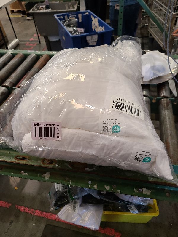 Photo 1 of 2 pillows 