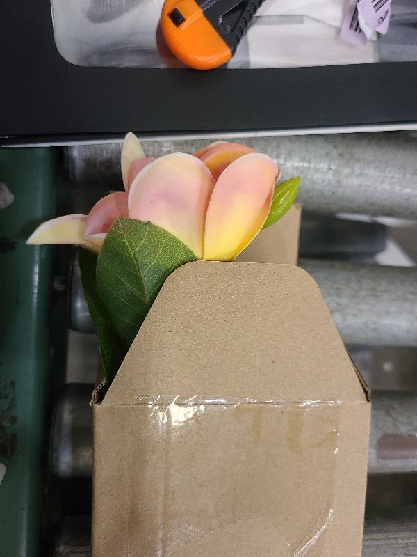 Photo 1 of 5PCS PU Real Touch Lifelike Artificial Plumeria Frangipani Flower Stems Wedding Home Party Spring Flowers Decoration (Orange Pink)