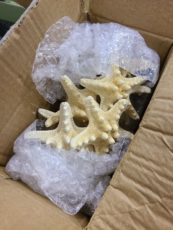 Photo 1 of 20 PCS Christmas Tree Hanging Ornaments Natural Starfish Sea Shells Decorations Beach Style for Wedding Birthday Craft Projects