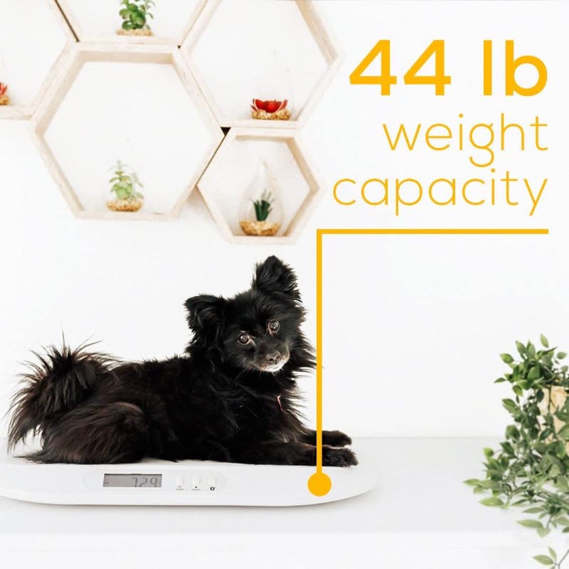 Photo 1 of Beurer BY90 Baby Scale, Pet Scale, Digital, with Measuring Tape, tracking weight with App | For: Infant, Newborn, Toddler /Puppy, Cat - Animals | LCD Display, weighs Lbs/Kg/Oz Highly accurate