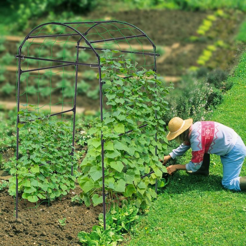 Photo 1 of Cucumber Trellis, 6.7ft Tall Garden Arch Trellis for Climbing Plants Outdoor Arbor Support Vine Vegetable Tomato Bean Pea Grape Squash Pumpkin Cucumber Trellis Raised Bed, Lightweight, Black