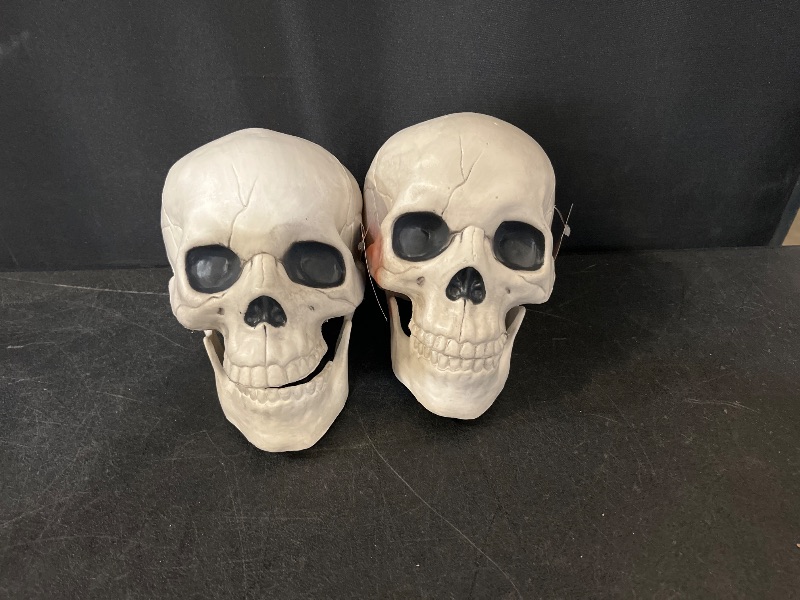 Photo 1 of HYDE AND EEK Decorative indoor skulls with movable jaws (grey black eyes)