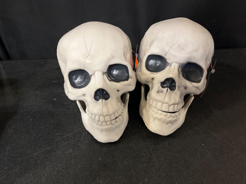 Photo 1 of HYDE AND EEK Decorative indoor skulls with movable jaws (grey /black eyes)