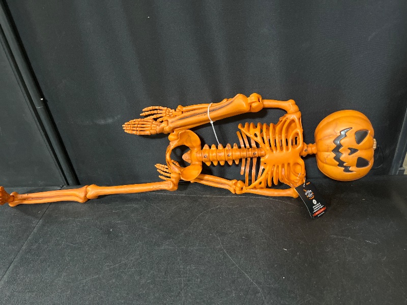 Photo 1 of Hyde and EEK posable pumpkin skeleton