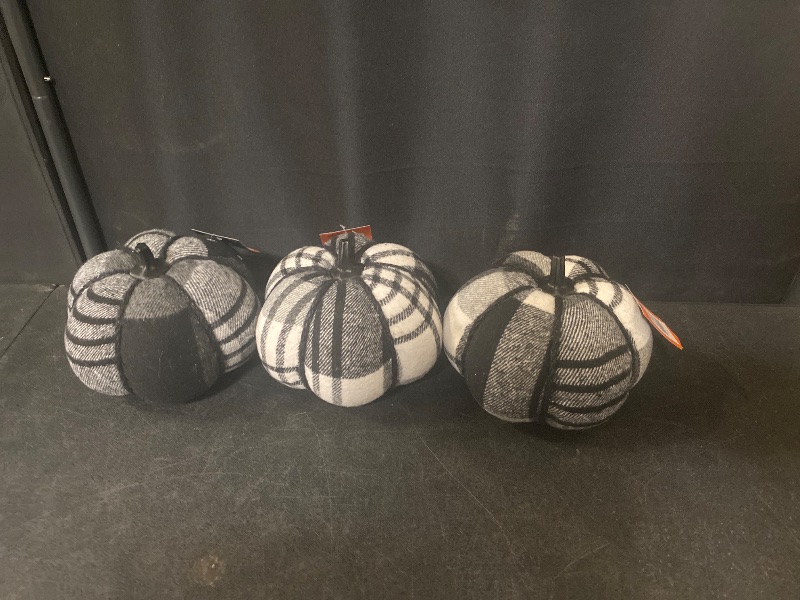 Photo 1 of 3 Set Felt Black & White Pumpkins Hyde and EEK