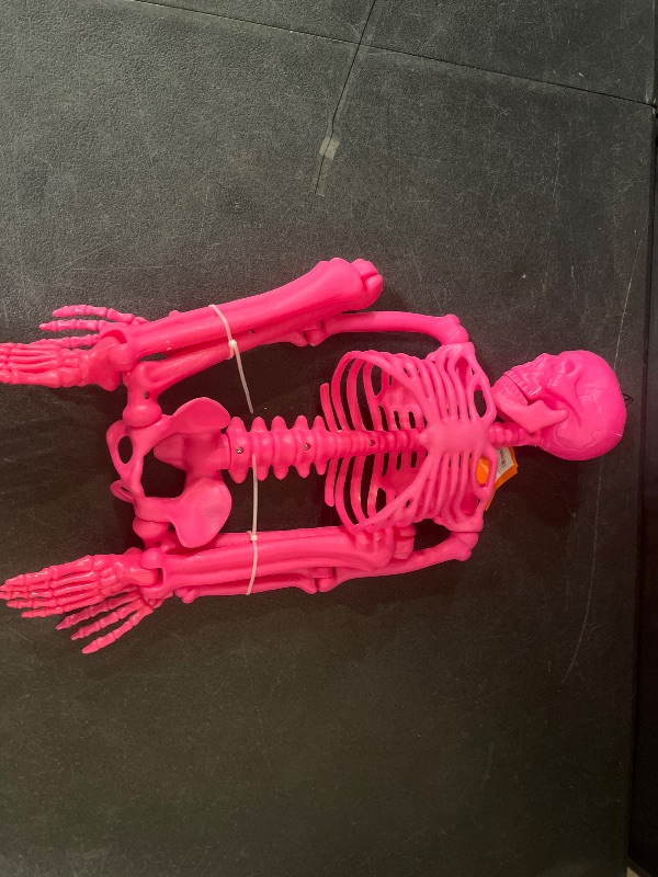 Photo 1 of Hyde and Eek Halloween Skull Skeleton Horror Elements Party Toys PP Material Joint Adjustable(28 * 7 * 3cm, Style One)