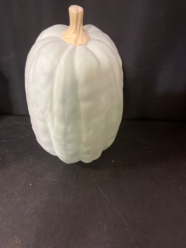 Photo 1 of  Decorative Paper Mache Pumpkin