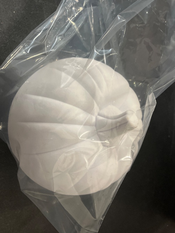Photo 1 of hyde and eek indoor/outdoor pumkin color white