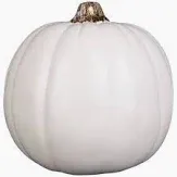 Photo 1 of hyde and eek indoor/outdoor pumkin color white