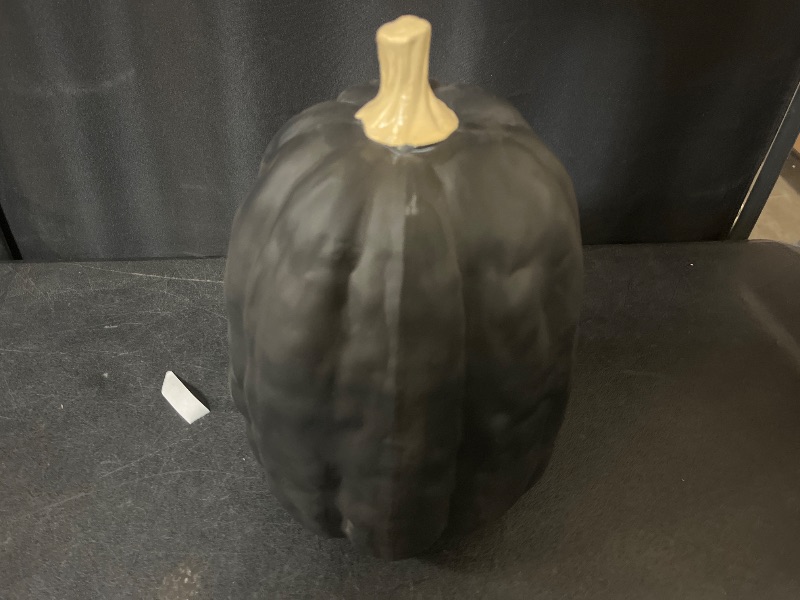 Photo 1 of  hyde and eek Handicrafts Paper Mache Pumpkin, Decorative Pumpkin