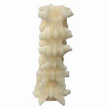 Photo 1 of threshold vertebrae candle 