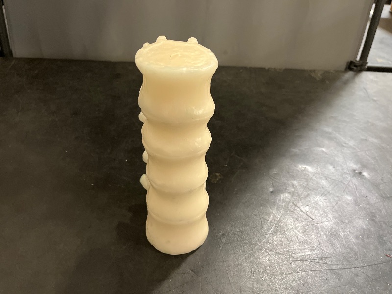 Photo 1 of threshold vertebrae candle 