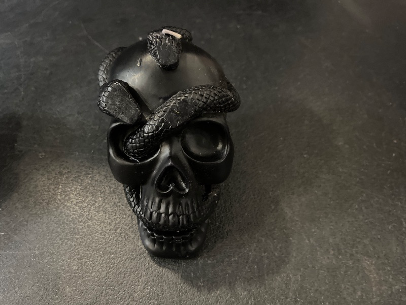 Photo 1 of 5.1'' Skull and Snake Candle Black - Threshold™